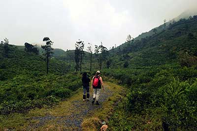 Knuckles Mountain | walklankatours.com
